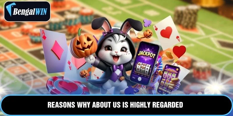 Reasons why About us is highly regarded