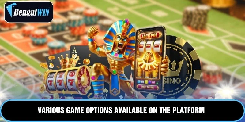 Various game options available on the platform
